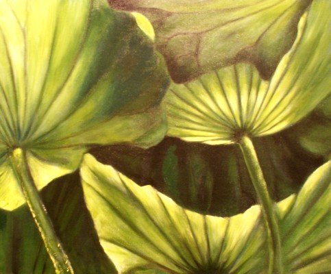 2009-Plants.jpg