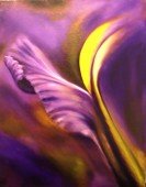 2009-purple iris.jpg