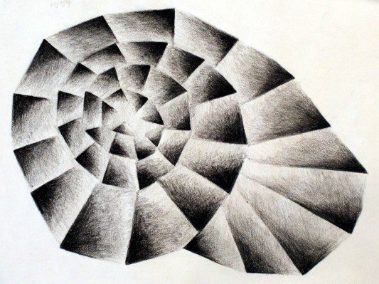 2008-geometric shell.jpg