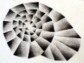 2008-geometric shell.jpg