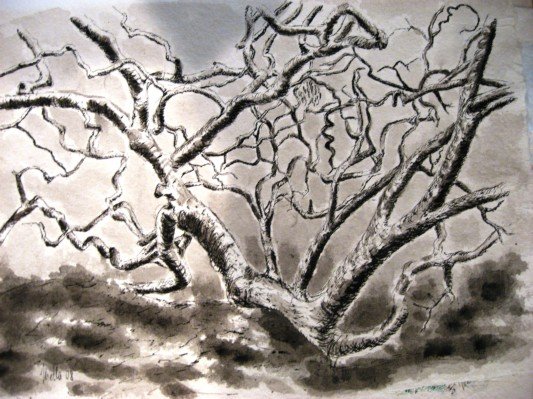 2008-tree.jpg