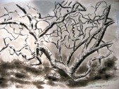 2008-tree.jpg