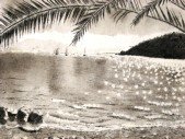 2008-ocean.JPG