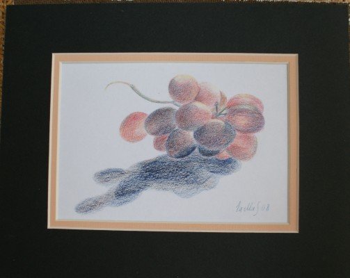 2008-grapes.jpg