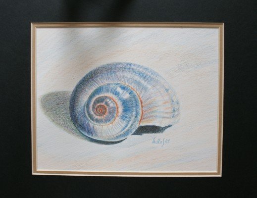 2008-shell.jpg