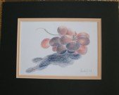 2008-grapes.jpg